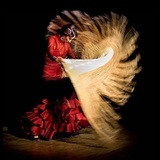 Flamenco With Lourdes Fernandez and Her Band Sunday 12 January 2025