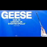 GEESE Wednesday 25 March 2026