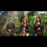 J.A.M. String Collective present 'She Looks Up at the Trees’, Monday 27 October 2025