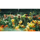 Super Furry Animals Friday 22 May 2026