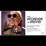 The Wonder of Stevie Wednesday 18 March 2026