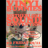 Vinyl Bunnies Friday 22 November 2024