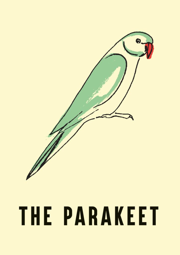 the-parakeet-upcoming-events-tickets-for-2025-2026-nightlondon