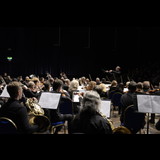 Blackheath Halls Orchestra Course: Vaughan Williams, Strauss & Dvorak Monday 6 January 2025