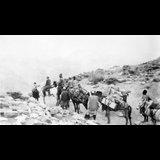 Screening of the silent masterpiece Grass (1925) with live music by Peyman Yazdanian Friday 19 September 2025
