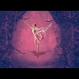 Sleeping Beauty Monday 16 February 2026