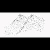 Special Edition: Drawn Poems Wednesday 24 September 2025