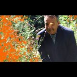 Where the Wild Things Were Friday 23 January 2026